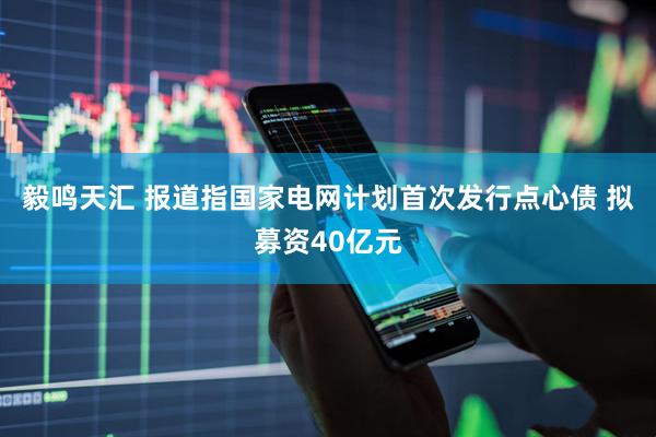 毅鸣天汇 报道指国家电网计划首次发行点心债 拟募资40亿元