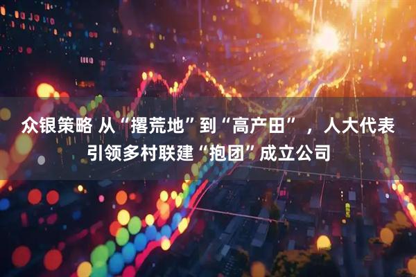 众银策略 从“撂荒地”到“高产田” ，人大代表引领多村联建“抱团”成立公司