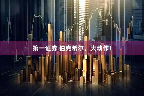 第一证券 伯克希尔，大动作！