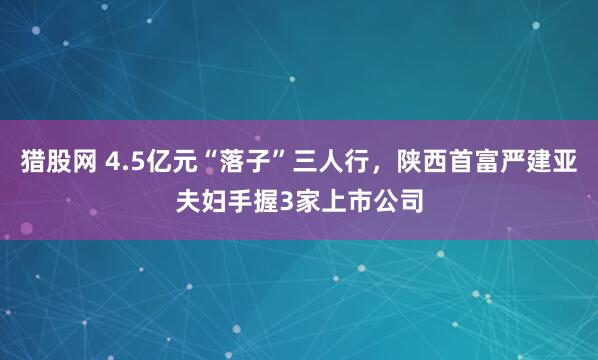 猎股网 4.5亿元“落子”三人行,陕西首富严建亚夫妇手握3家上市公司